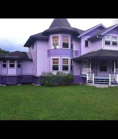Hawaii Tropical Volcano Mansion + Sauna 希洛 外观 照片