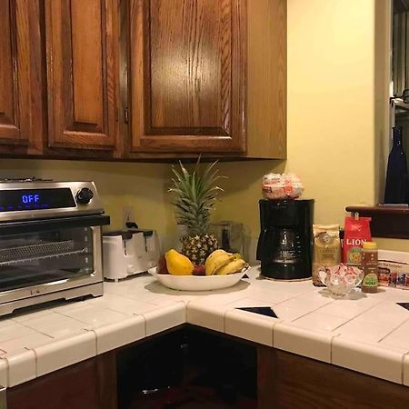 Hawaii Tropical Volcano Mansion + Sauna 希洛 外观 照片